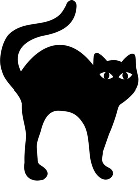 Katzenbuckel-Bilder: Stock-Fotos & -Videos. | Adobe Stock