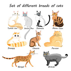 Vector set of cat breeds