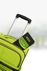 Minsk. Green suitcase with guidebook.