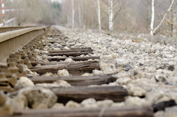 rail and birch
