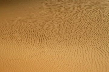 Deserto del Sahara