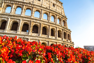 Obraz premium Colosseum in Rome