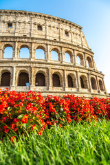 Obraz premium Colosseum in Rome