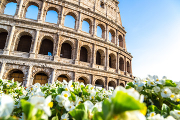 Obraz premium Colosseum in Rome