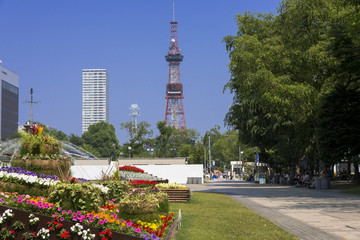 Obraz premium 札幌の大通り公園