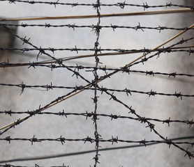 Barbed wire, background and texture
