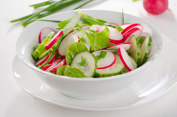 Fresh healthy salad