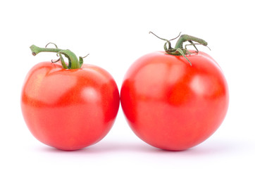 Fresh tomatoes on white background