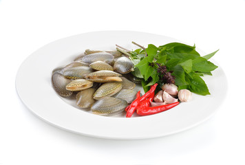 Fresh raw  clam on a white background