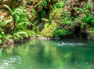 waterfall with pond in garden