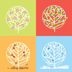 Apple Tree in four seasons