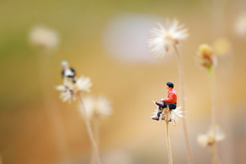 Two men talking together on the flower like Dandelion.
