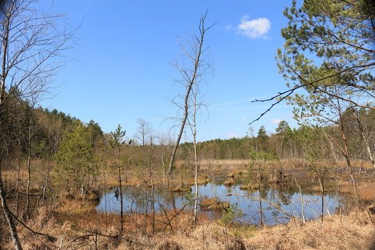 Naturschutzgebiet Eierpieler