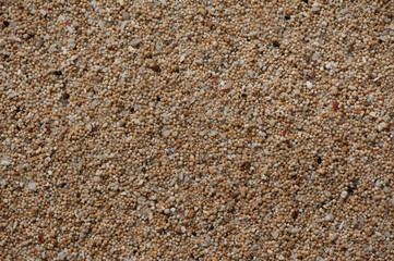 Sand Of Coral Flinders
