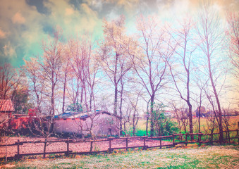 Enchanted countryside series © Rosario Rizzo