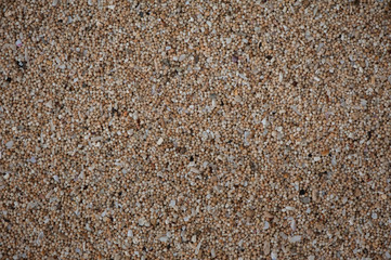 Sand Of Coral Flinders