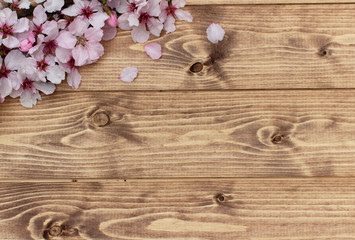 Holzhintergrund mit Mandelblüten