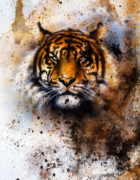  tiger collage on color abstract  background,  rust structure