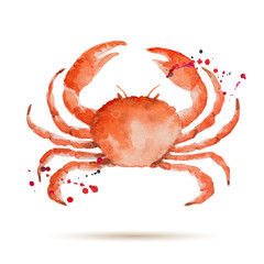 Watercolorcrab