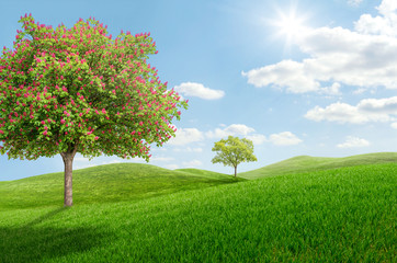 Fototapeta na wymiar Idyllische Landschaft mit blühendem Kastanienbaum