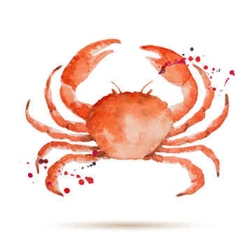Watercolorcrab