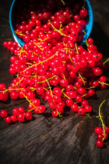 red currant fruit bucket summer pouring wooden table
