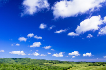 北の大地の草原風景