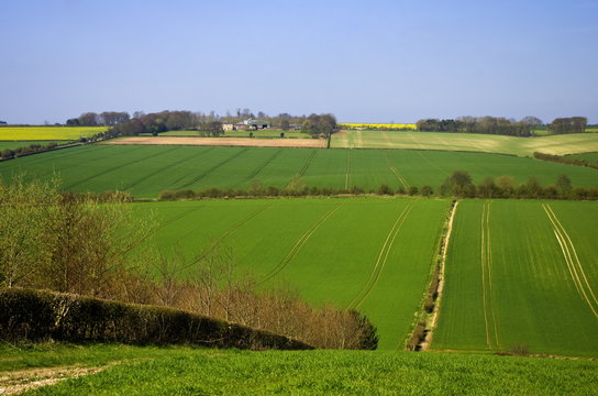 Yorkshire Wolds Farming