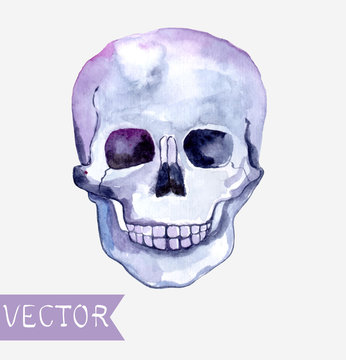 Watercolor skull background