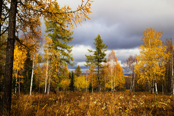 Fototapeta premium Autumn in the Southern Urals