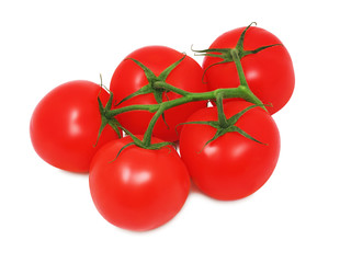 Ripe red tomatoes on green branch (isolated)