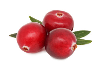 Three ripe cranberries with green leaves (isolated)