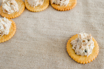 Cracker with tuna spread
