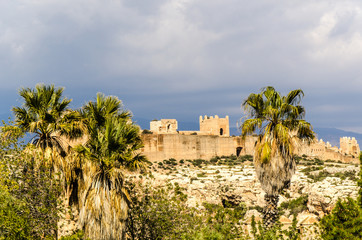 Palmen und Mauer der Alcazaba in Almeria