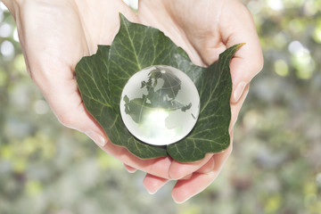 Concetto di ecologia