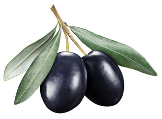 Black olives with leaves on a white background.