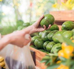Choosing avocados