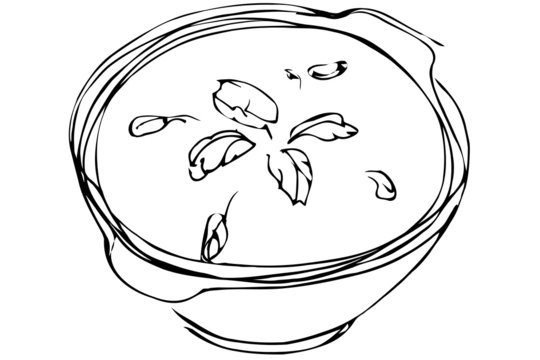 vector sketch bowl of soup with herbs