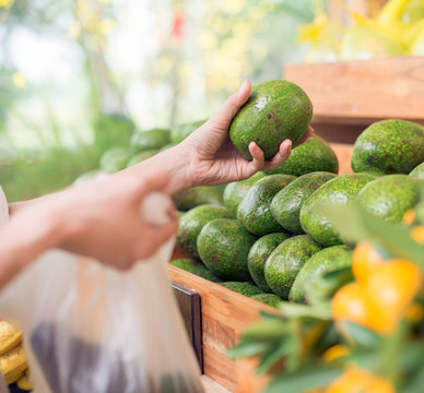 Choosing Avocados