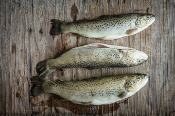 rainbow trout on wooden background