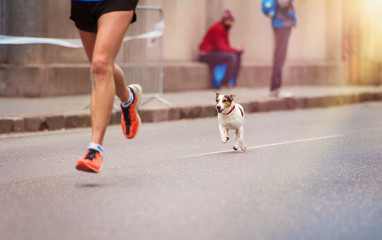 Unrecognizable young runner and a dog at the city race