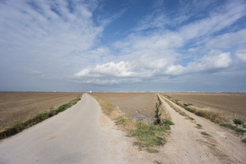 Road and Track to infinite