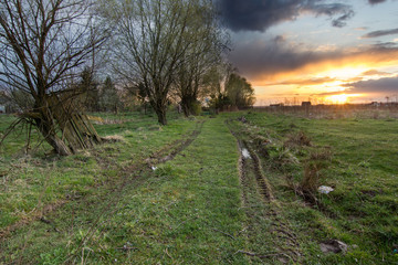 beautiful sunset nature landscape