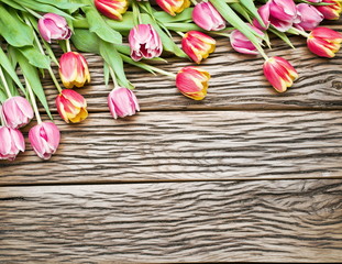Pink and red tulips on a wooden background.