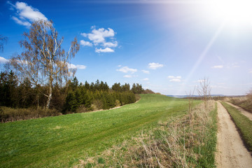 Fototapeta na wymiar rural landscape with trees next to meadows