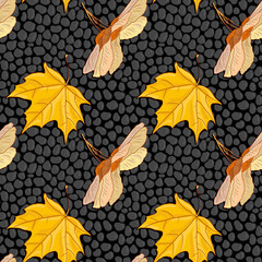 vector seamless pattern with maple seeds