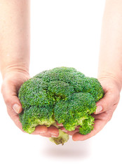 Green fresh broccoli in hands