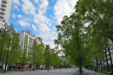 JR関内駅前の関内大通り公園