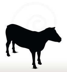 sheep silhouette with standing still pose