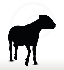 sheep silhouette with walking pose